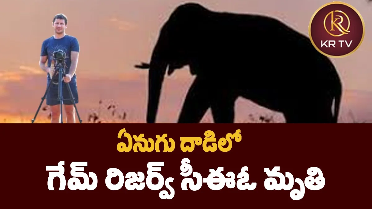 ఏనుగు దాడిలో గేమ్ రిజర్వ్ సీఈఓ మృతి